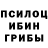Псилоцибиновые грибы GOLDEN TEACHER Nastya Pixie