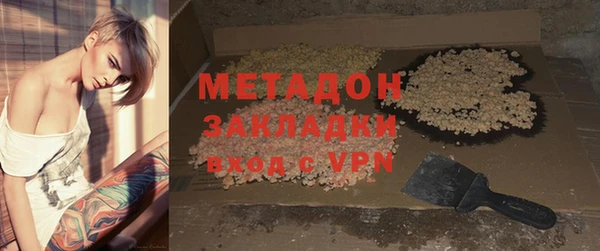 индика Алзамай