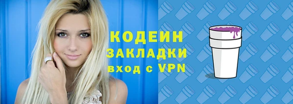 индика Алзамай