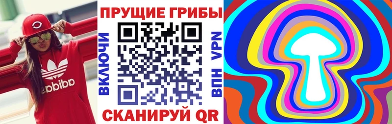 Галлюциногенные грибы MAGIC MUSHROOMS  Петрозаводск 